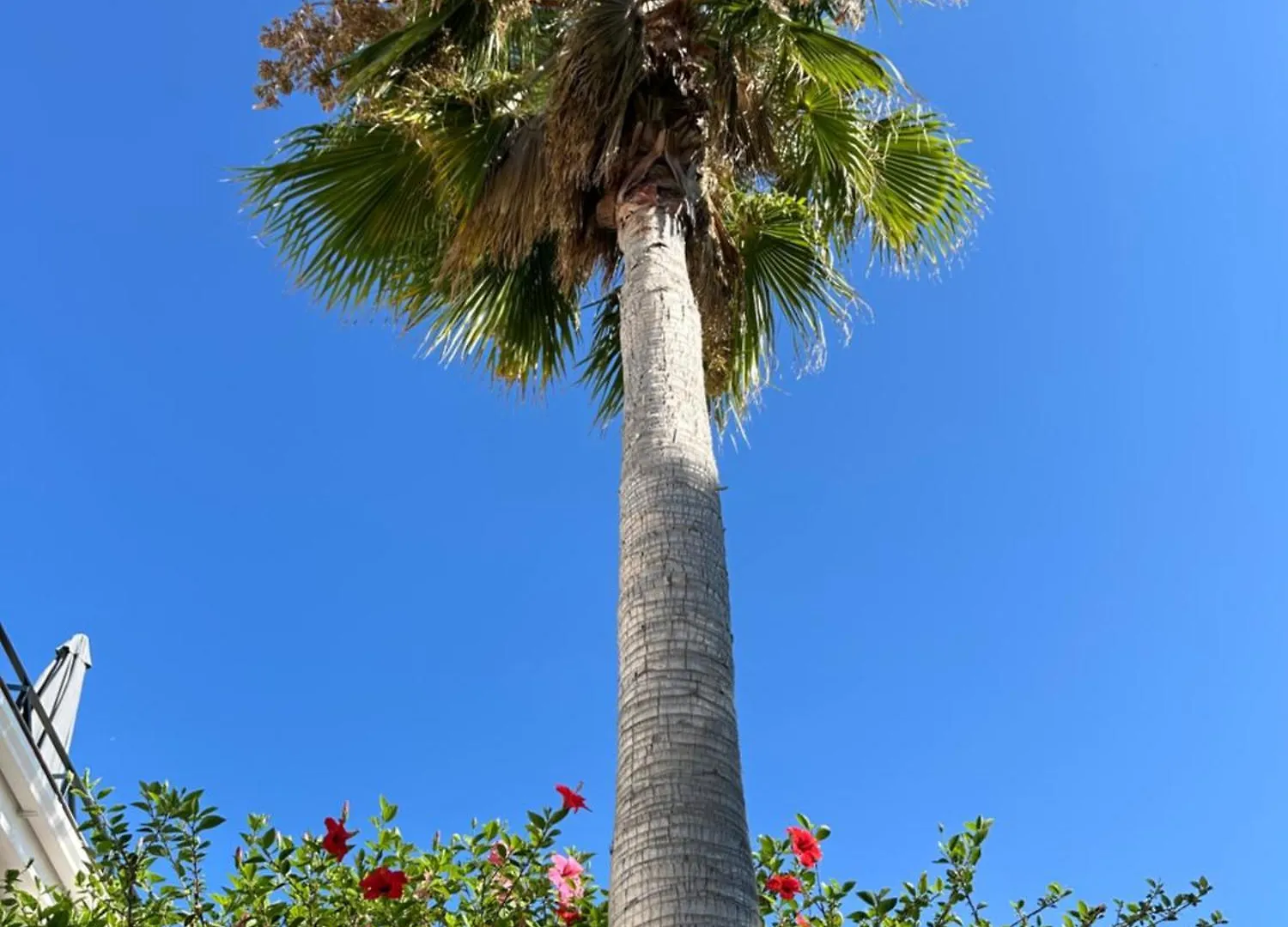 Marbella Golf Garden Apartments Benahavís